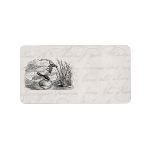 Étiquette Parchemin vintage de libellules d'antiquité de