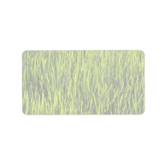 Étiquette Pare-brise (Devant)