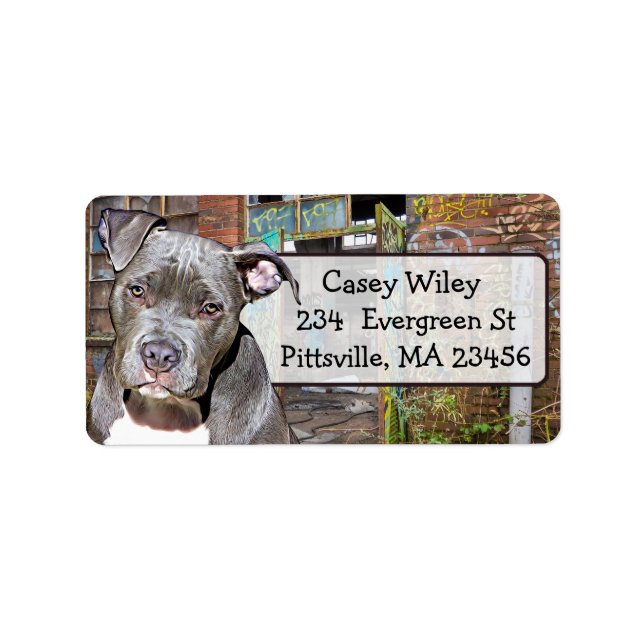 Étiquette Pet Pitbull Chien Graffiti arrière - plan Étiquett (Devant)