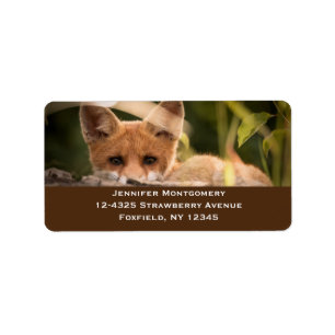 Étiquette Photo de Cute Little Orange Fox