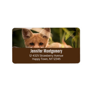 Étiquette Photo de Cute Little Orange Fox