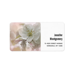 Étiquette Photo en fleurs de pomme blanche