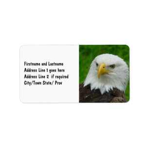 Étiquette Photographie sauvage d'oiseau - Eagle chauve