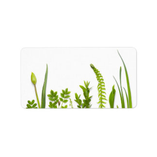 Étiquette Plantes verts isolés sur Arrière - plan blanc