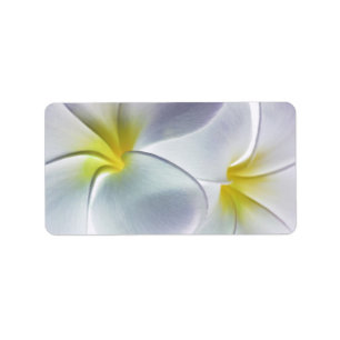 Étiquette Plumeria Frangipani Hawaii Flower Customized Blank