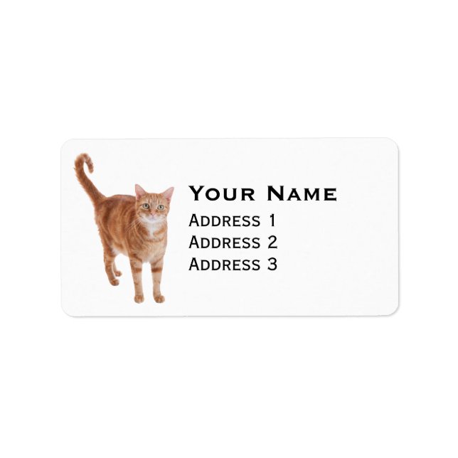 Étiquette Poignée de chat orange (Devant)