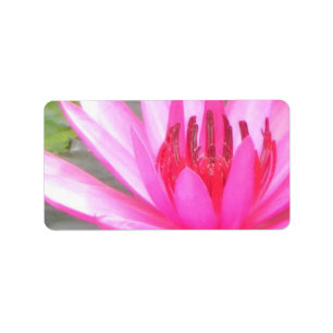 Étiquette Pond Lotus Tranquillité Namaste Adresse blanche