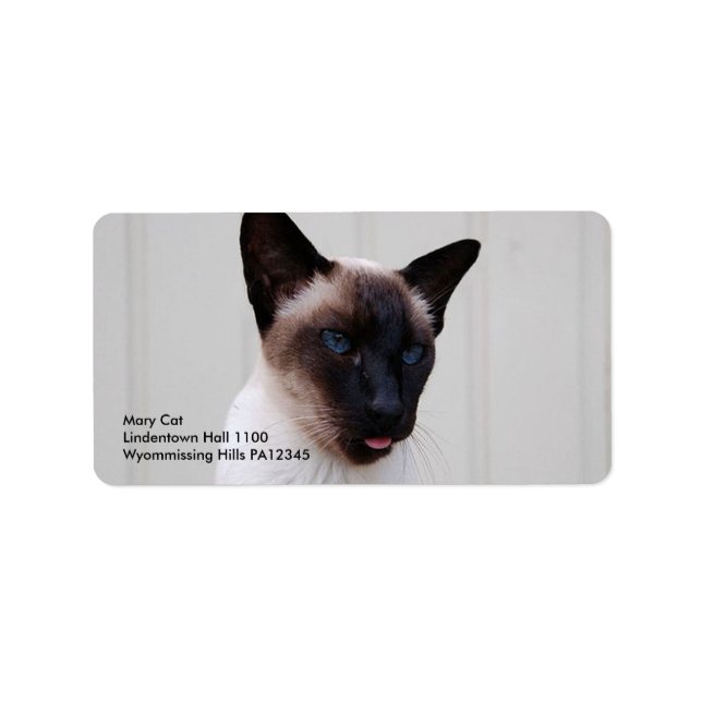 Étiquette Portrait de chat Siamese (Devant)