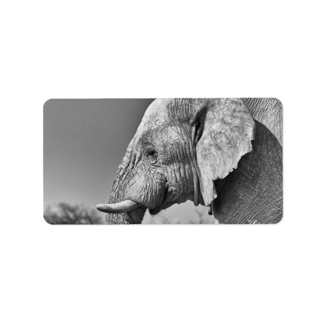 Étiquette Portrait d'éléphant (Devant)