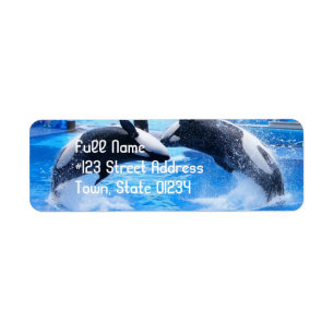 Étiquette postale d'adresse de retour de baleine