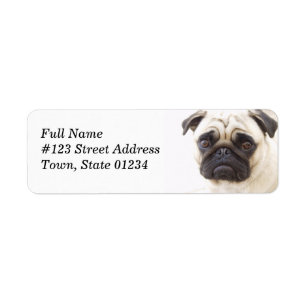 Étiquette postale d'adresse de retour de chien de