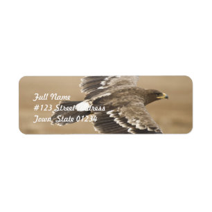 Étiquette postale d'adresse de retour d'Eagle de