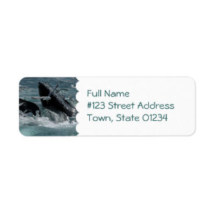 Étiquette postale de baleine de bosse