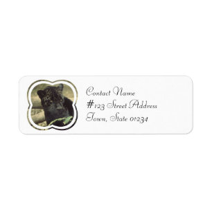 Étiquette postale de chat de panthère noire