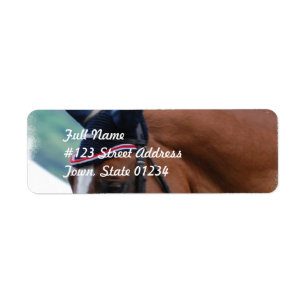 Étiquette postale de cheval de Warmblood de