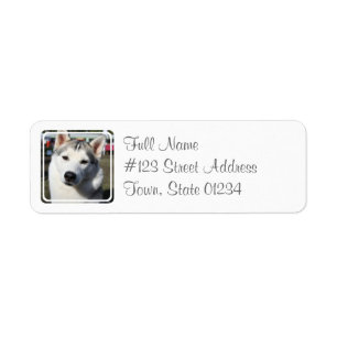 Étiquette postale de chien de chien de traîneau