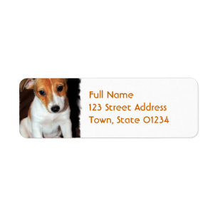 Étiquette postale de chiot de Jack Russell Terrie