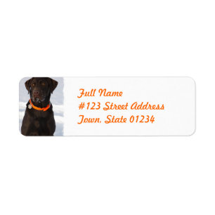 Étiquette postale de labrador retriever de