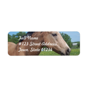 Étiquette postale de mustang de peau de daim