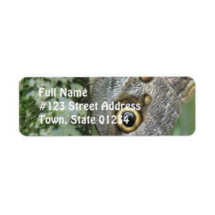 Étiquette postale de papillon de hibou de grange