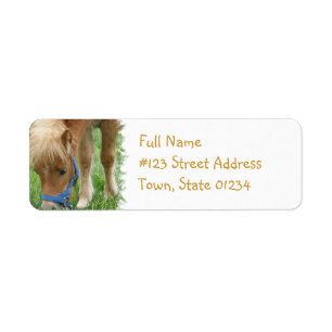 Étiquette postale de poney de Shetland
