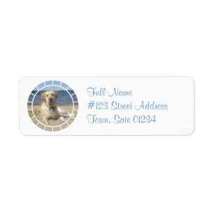 Étiquette postale jaune de chien de labrador
