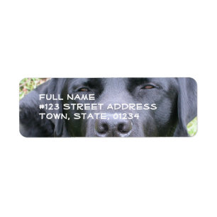 Étiquette postale noire de labrador retriever