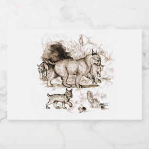 Étiquette Pour Bocaux Famille Bobcat