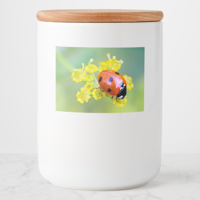 Étiquette Pour Bocaux femme au sommet (Devant)