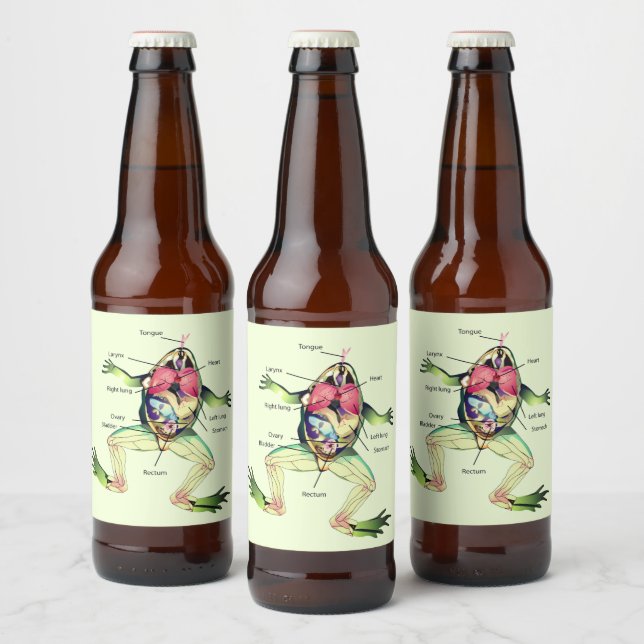 Étiquette Pour Bouteilles De Bière Le vert anatomique de la grenouille (Bouteilles)