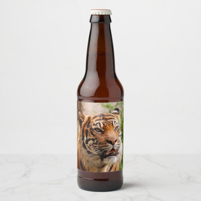 Étiquette Pour Bouteilles De Bière Tigres de fer (Devant)