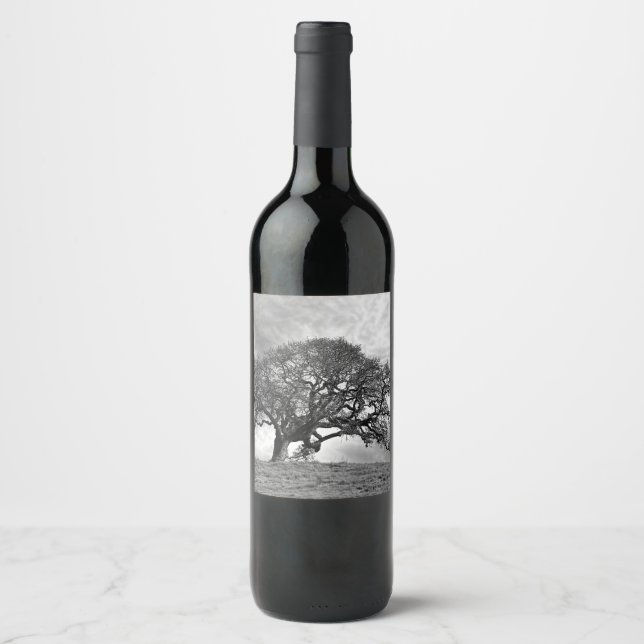 ÉTIQUETTE POUR BOUTEILLES DE VIN ARBRE DE CHÊNE LONE (Devant)