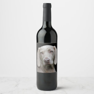 Étiquette Pour Bouteilles De Vin Beau Weimaraner chasse chien