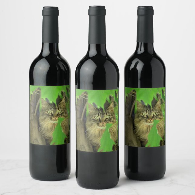 Étiquette Pour Bouteilles De Vin Chat à coon du Maine dans l'arbre (Bouteilles)
