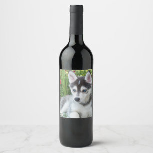 Étiquette Pour Bouteilles De Vin Créez Votre Propre Photo de Animal de Compagnie Pe
