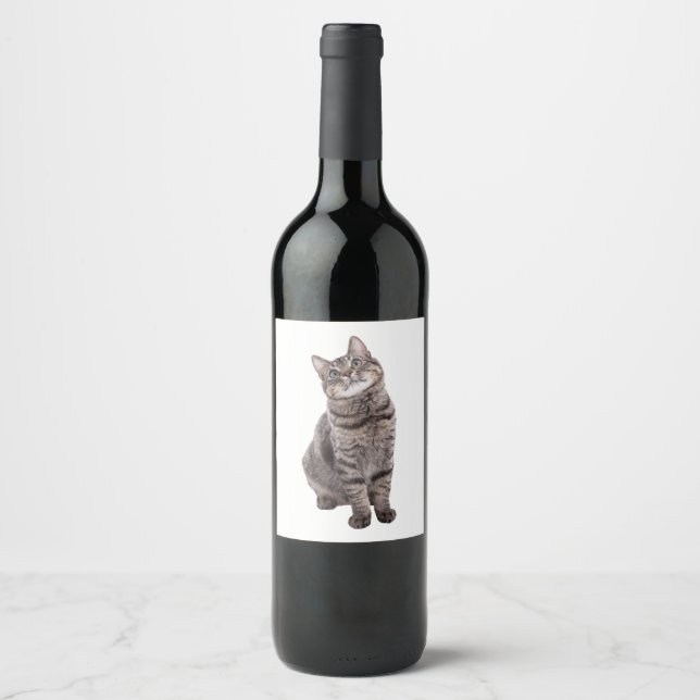 Étiquette Pour Bouteilles De Vin Cute tabby Chat (Devant)