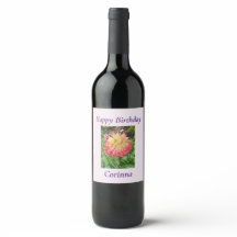 Dahlia rose et jaune