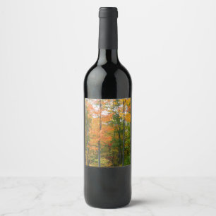 Étiquette Pour Bouteilles De Vin Érables en automne Photographie de la nature