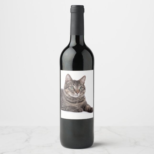 Étiquette Pour Bouteilles De Vin Gray Tabby Cat (Devant)
