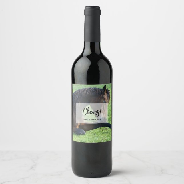 Étiquette Pour Bouteilles De Vin Joli Cheval Brown allongé dans l'herbe (Devant)