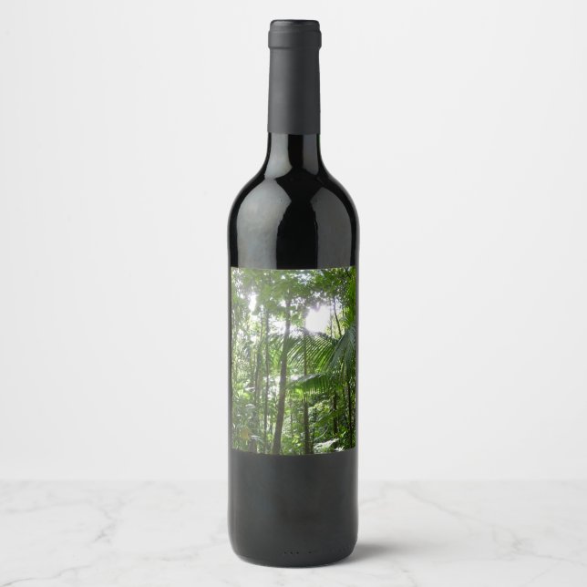 Étiquette Pour Bouteilles De Vin Lumière du soleil à travers la canopée de la forêt (Devant)