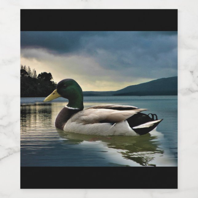 Étiquette Pour Bouteilles De Vin Mallard Duck (Étiquettes simples)