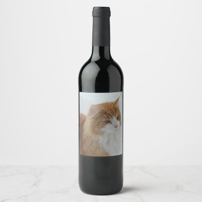 Étiquette Pour Bouteilles De Vin Norwegian_Forest_Cat (Devant)