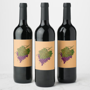 Étiquette Pour Bouteilles De Vin Raisins