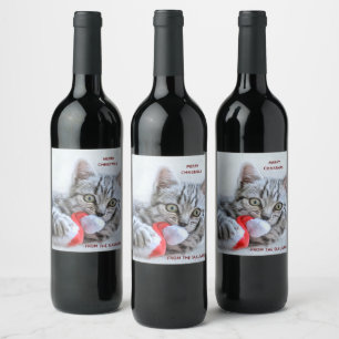 Étiquette Pour Bouteilles De Vin Tabby gris mou Chat avec Noël Casquette
