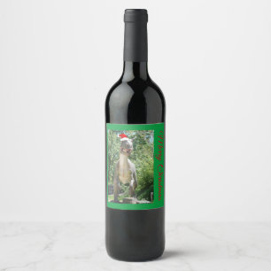 Étiquette Pour Bouteilles De Vin TREX dinosaure portant un chapeau de Père Noël pou
