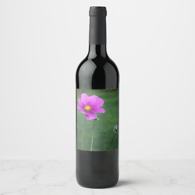 Étiquette Pour Bouteilles De Vin Un aster mexicain (Devant)