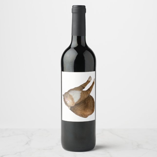 Étiquette Pour Bouteilles De Vin Upside-Down Sunshine (Devant)