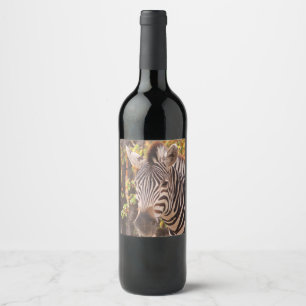 Étiquette Pour Bouteilles De Vin Zèbre dans la forêt de mopani