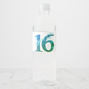 Étiquette Pour Bouteilles D'eau 16 ans Turquoise Green Grunge et Parties scintil